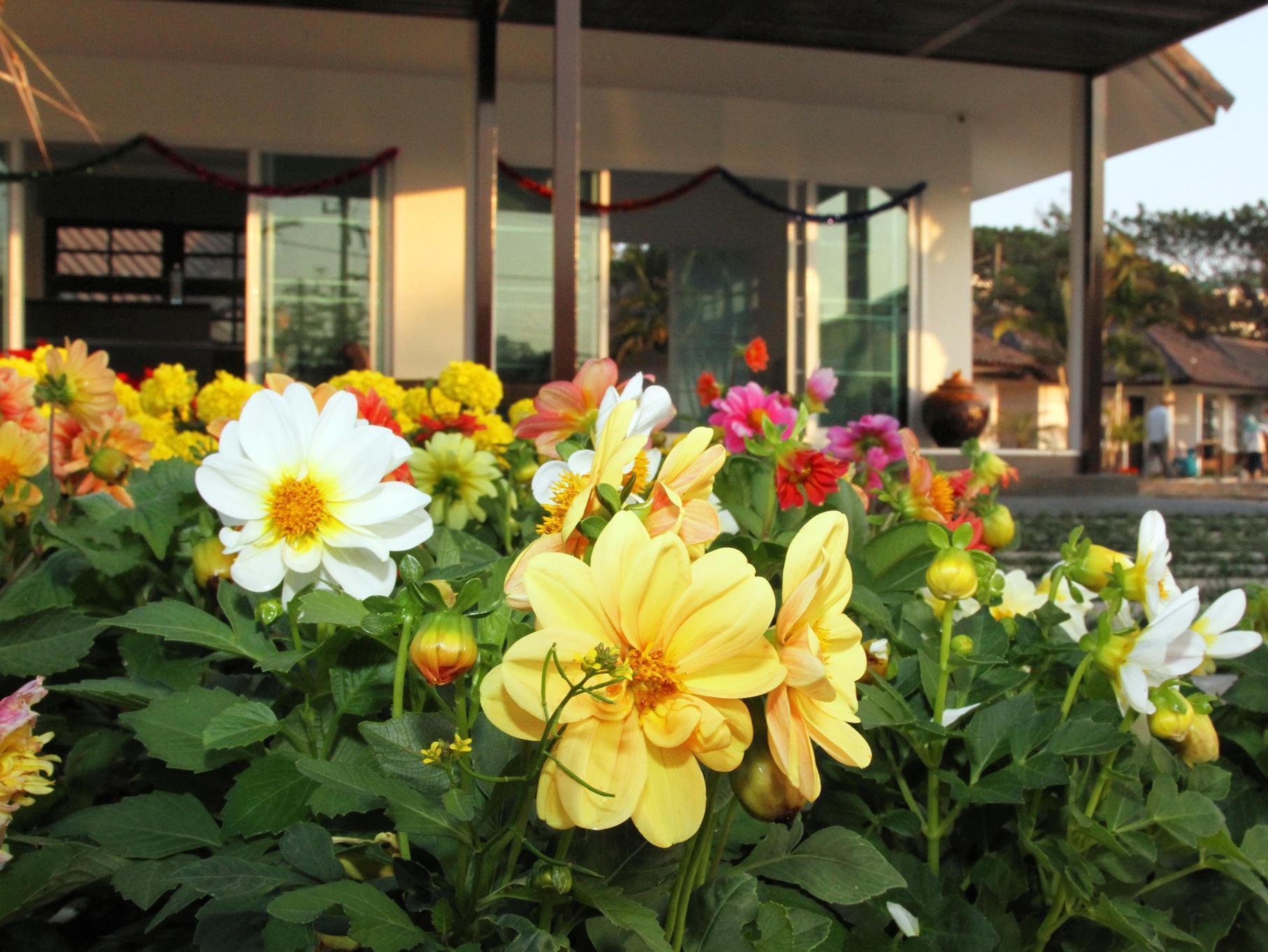 Chiangrai Green Park Resort Chiang Rai Extérieur photo