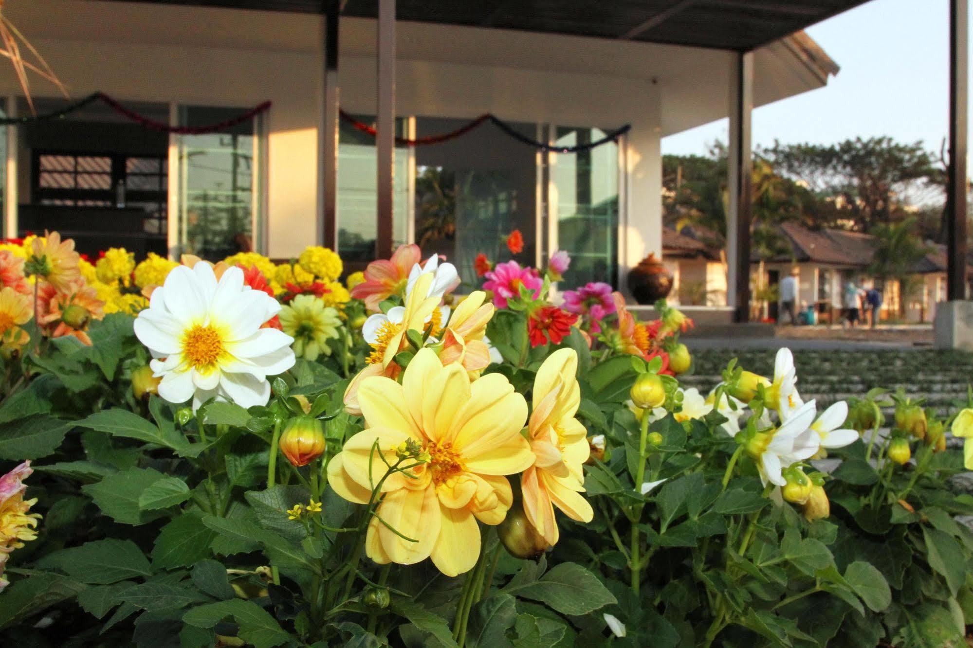 Chiangrai Green Park Resort Chiang Rai Extérieur photo